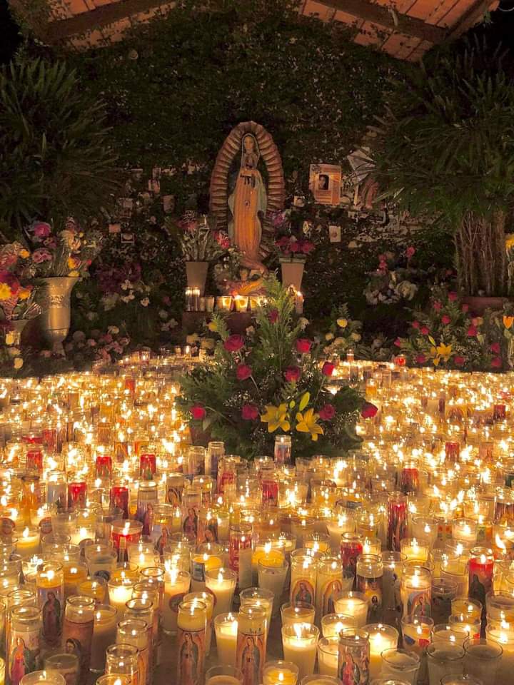 Imagen 7